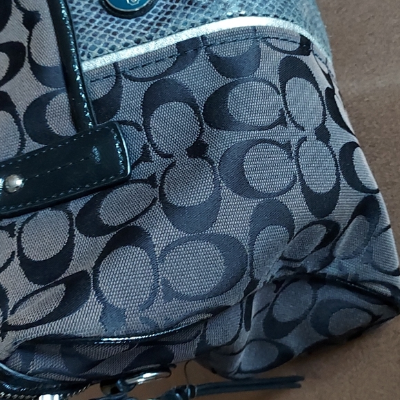 Coach Signature Stripe Python - Picture 3 of 13